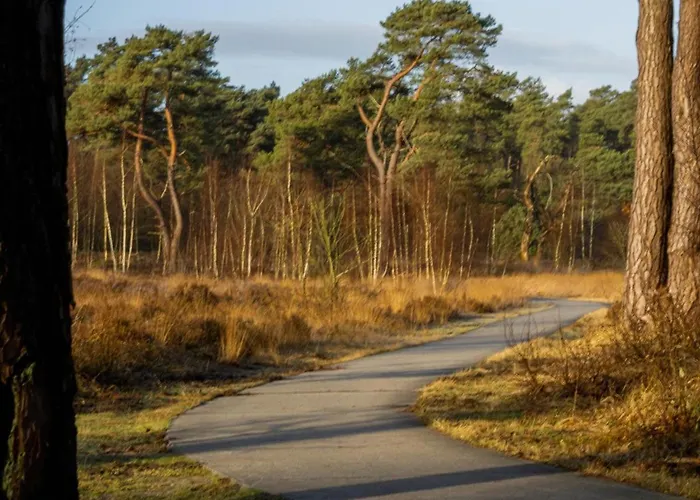 Semesterbostad Kuifmees Hulshorst