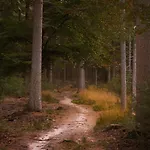 Kuifmees